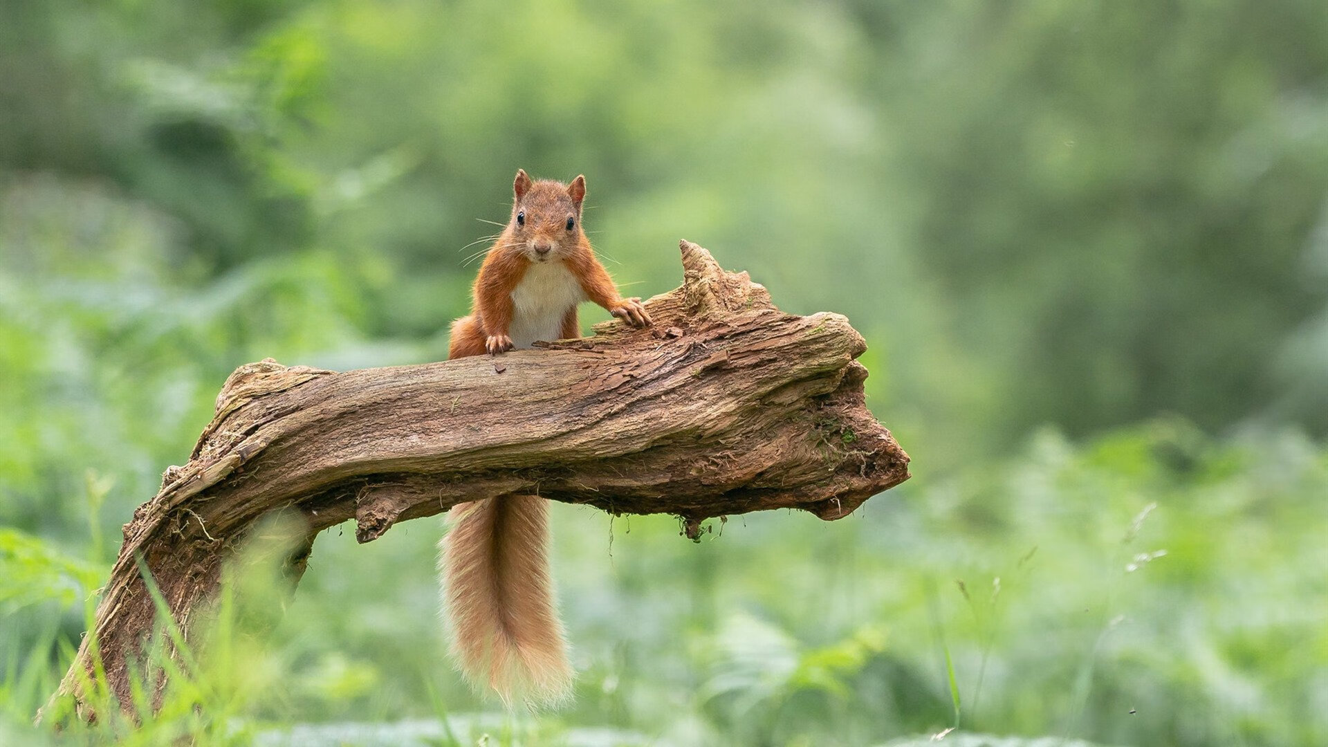 华体会平台-体育新闻中心联合高校探索体育影像人才共育机制，体育产业人才培养