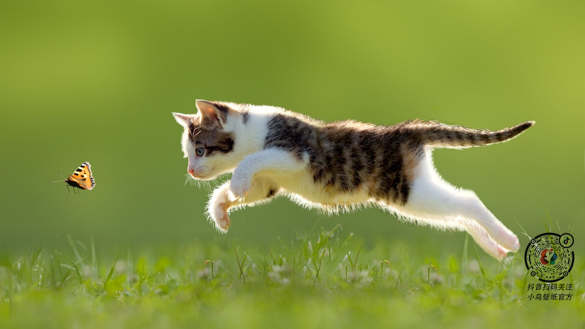 国际乒联混合团体世界杯:澳大利亚队的突破与表现对比分析,澳大利亚乒乓球公开赛比赛结果