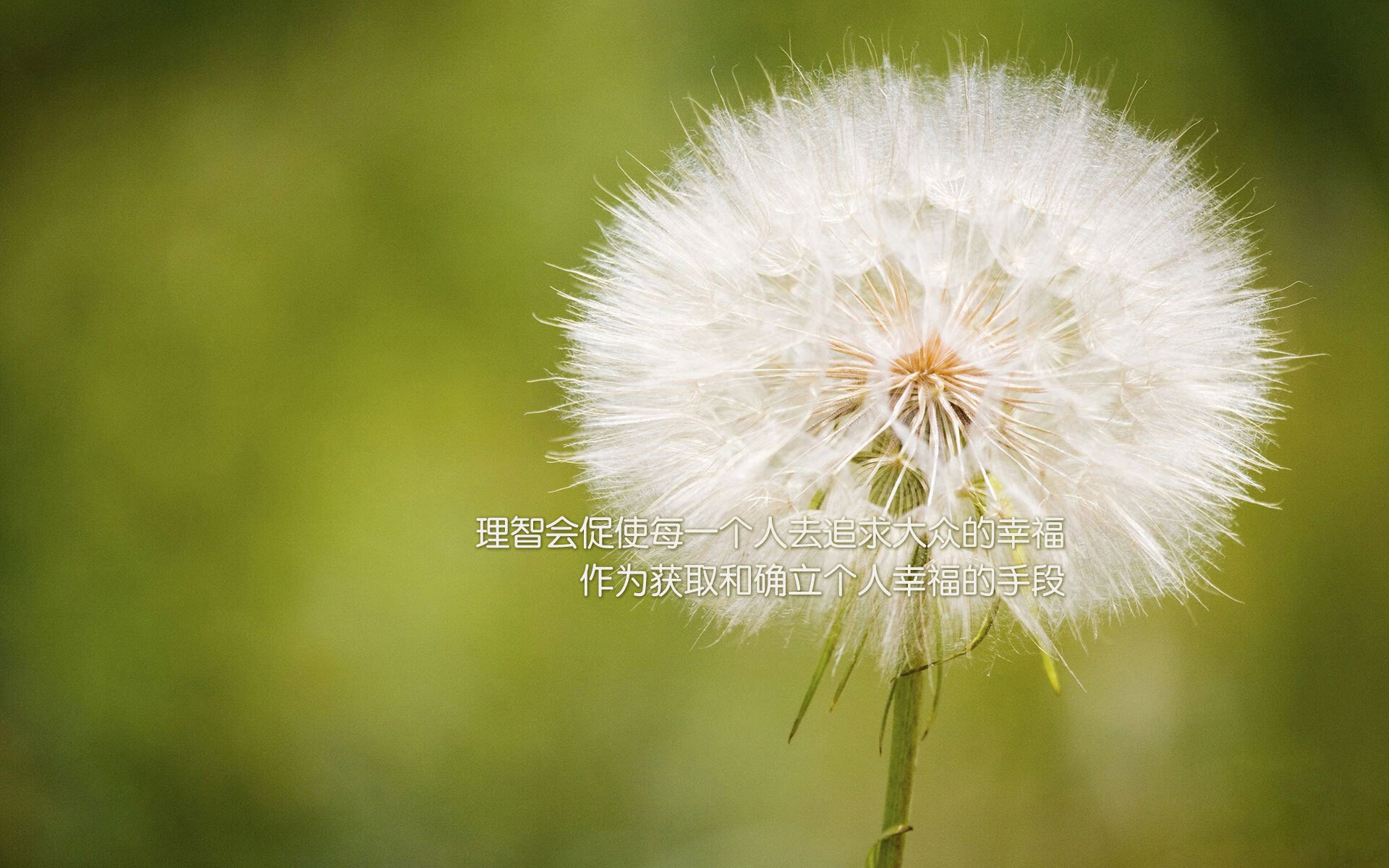 新加坡队未来发展的挑战与机遇:如何突破现有竞技瓶颈,新加坡足球发展