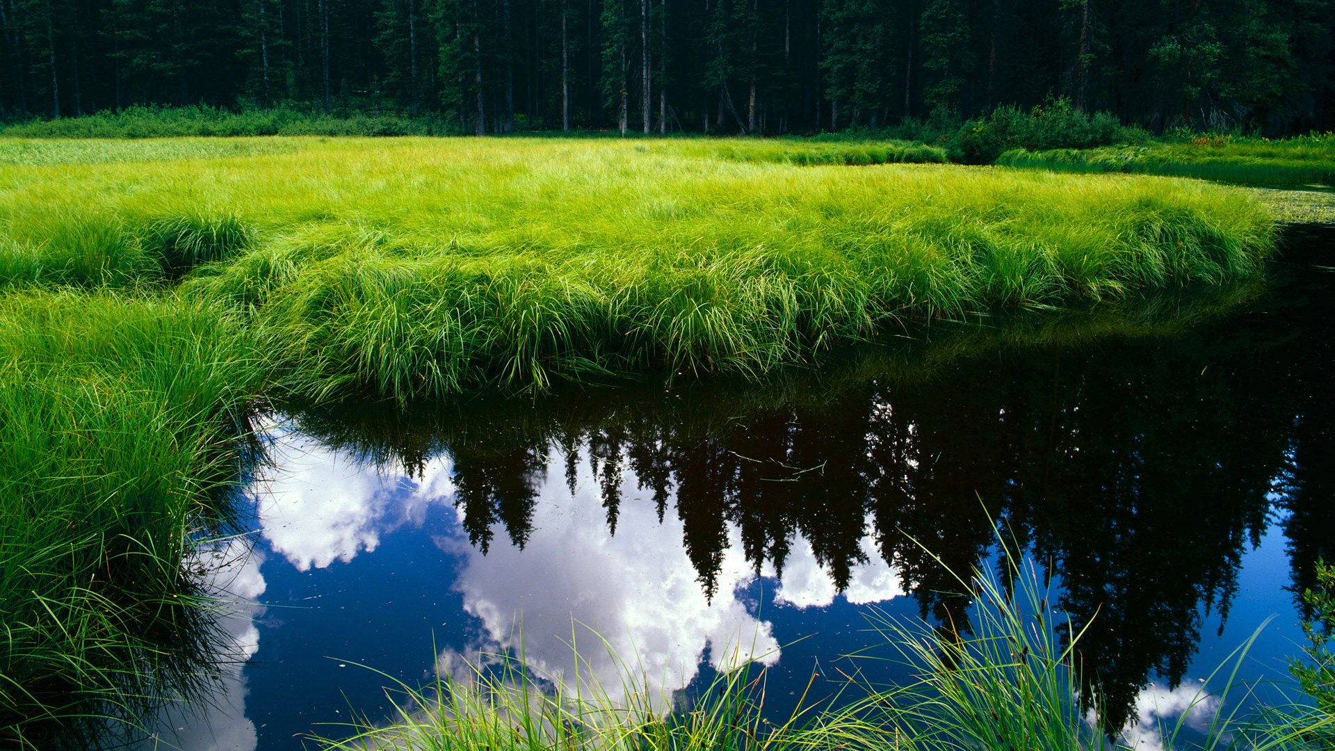 王者荣耀战术板图变化迅速选手需实时适应,王者战术图解