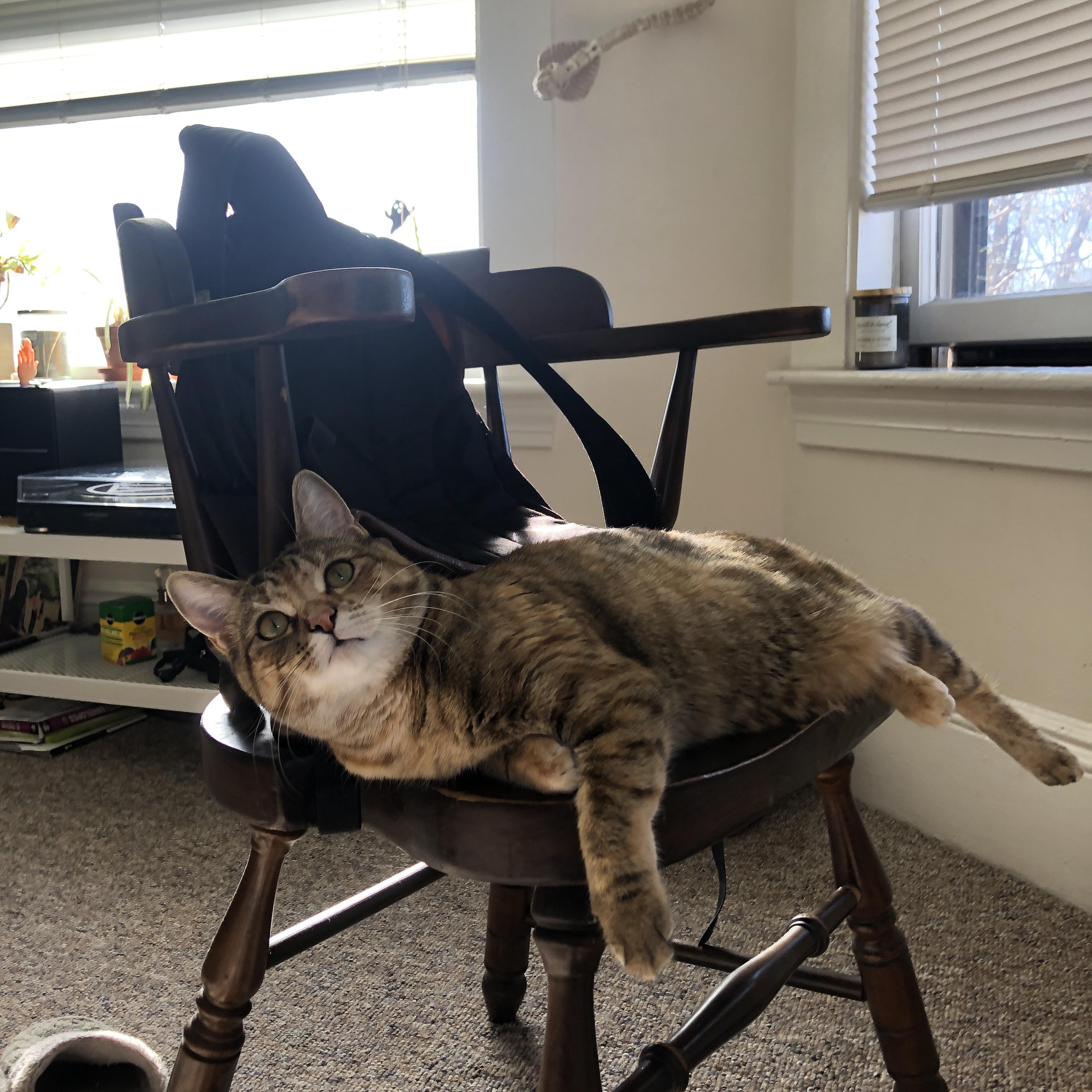 高强度节奏对球员心理抗压能力要求是否更高,节奏型强弱