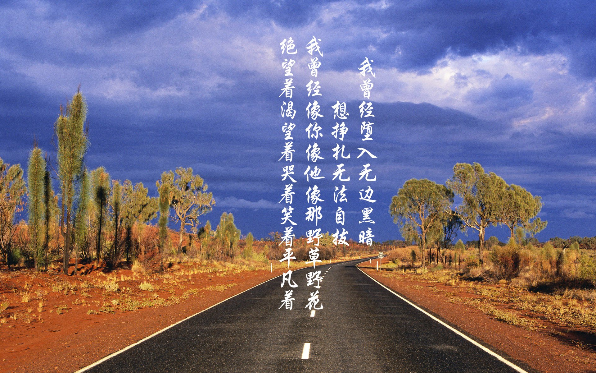 “帕布罗·马特拉:阿根廷美洲狮队的传奇人物,未来继续书写辉煌”