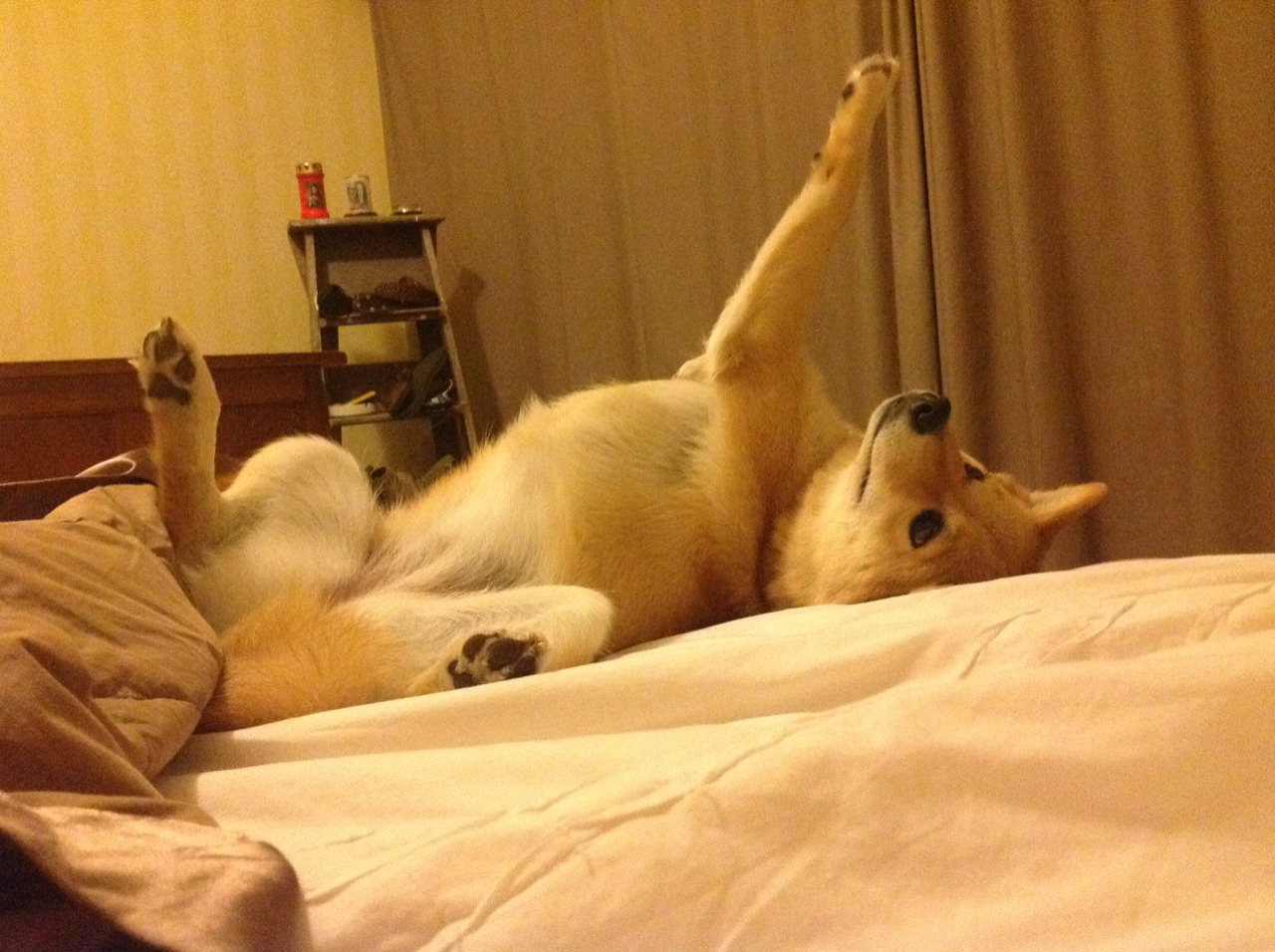 中乙俱乐部推行绿色通道机制简化球员转会流程,中乙俱乐部梯队要求