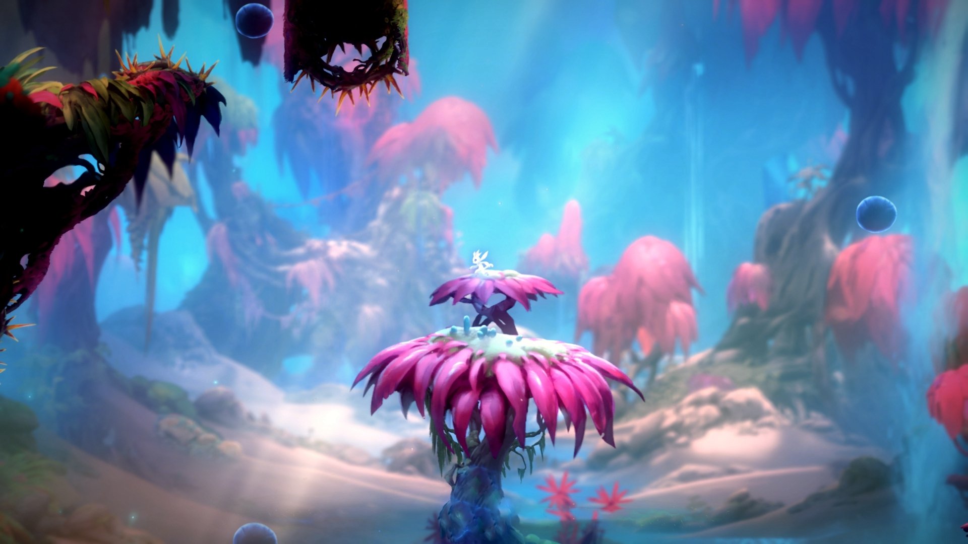 华体会网站-中小学篮球加强兴趣培养提升青少年参与度，青少年篮球培训的三要素