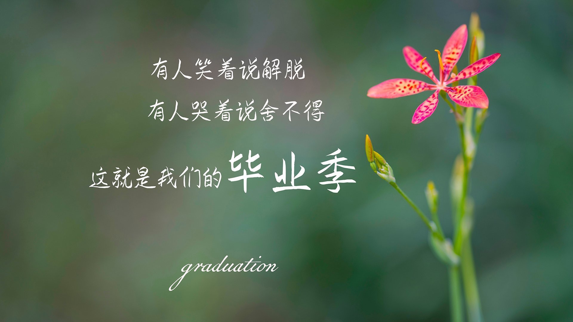 澳大利亚袋鼠队的战术灵活性,能否重回冠军宝座,袋鼠 澳大利亚