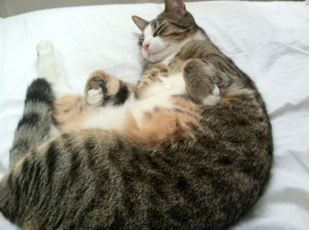 艾比·德尔福:作为防守支柱,成功组织起南非队的防线,《艾比·里德尔》