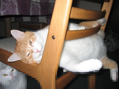 中国足球是否存在青年教练职业发展天花板，中国年轻足球教练