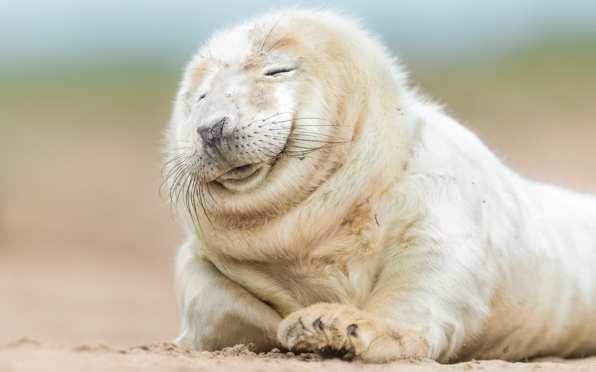 中国足球联赛打造高水平足球赛事品牌形象，我国足球品牌前十排名